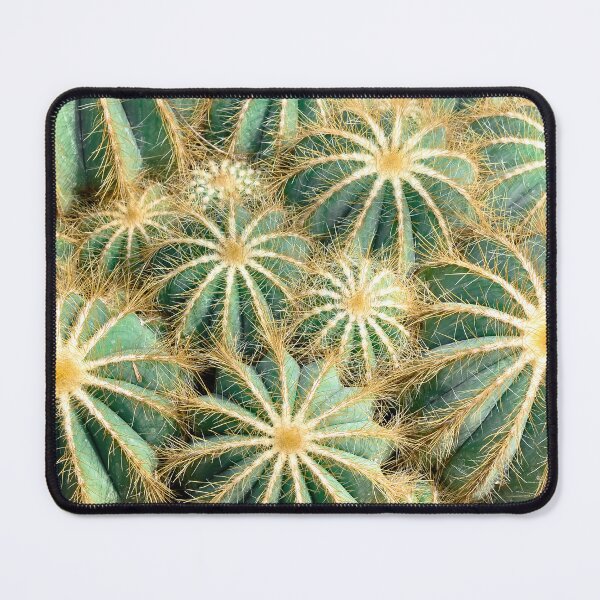 Item preview, Cactus Nation designed and sold by Rebecca Herranen.