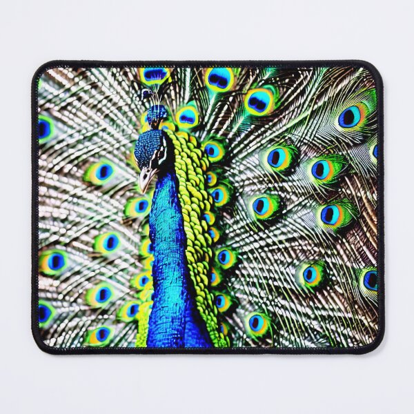 Item preview, close-up of peacock with feathers open designed and sold by David-Howells.