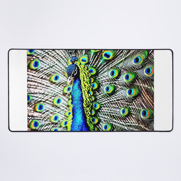 Item preview, close-up of peacock with feathers open designed and sold by David-Howells.
