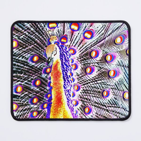 Item preview, Close-up of peacock with feathers open designed and sold by David-Howells.