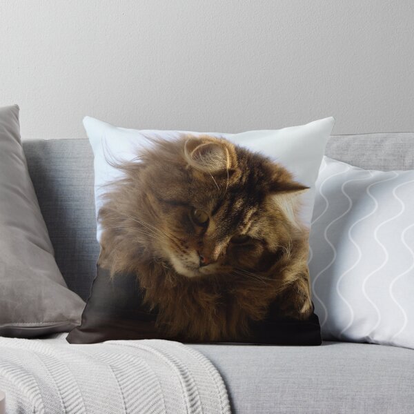 Item preview, Maine Coon Tabby Cat designed and sold by NaturePrints.