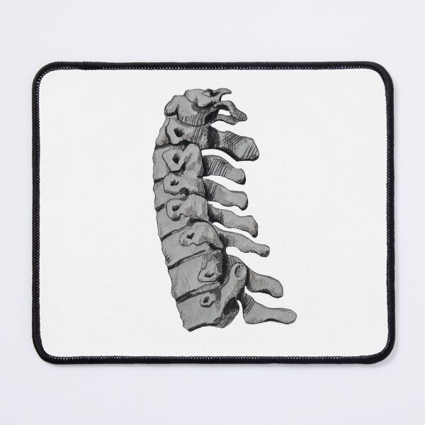 Item preview, Grayscale Cervical Vertebrae designed and sold by AjnBioVis.