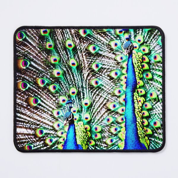 Item preview, Close-up of 2 peacocks with feathers open designed and sold by David-Howells.