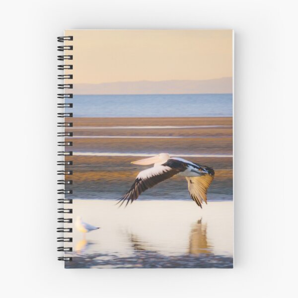 Item preview, Pelican in Flight designed and sold by Silken Photography.