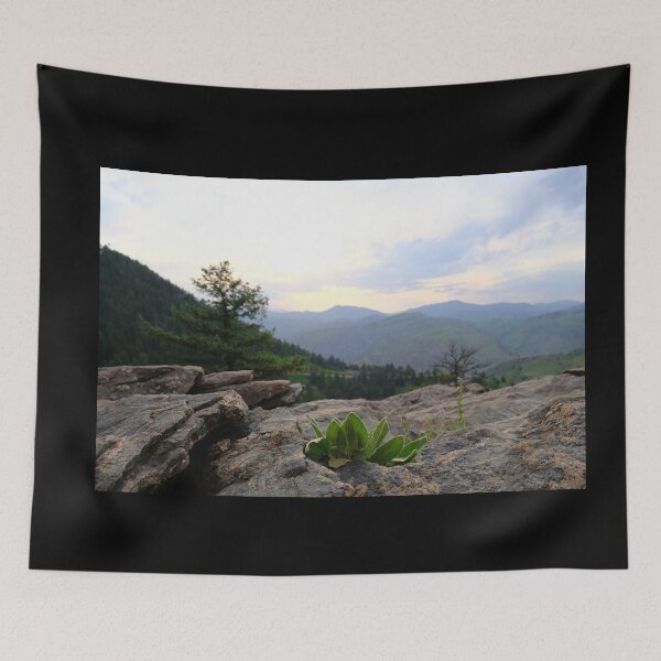 Item preview, Beautiful Sunset Mountain View in Golden Colorado designed and sold by chillbilldill.