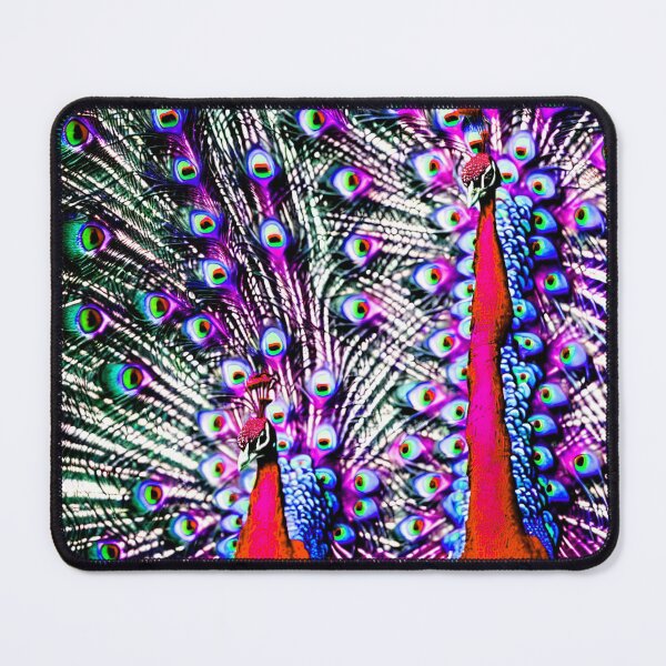 Item preview, Close-up of 2 peacocks with feathers open designed and sold by David-Howells.