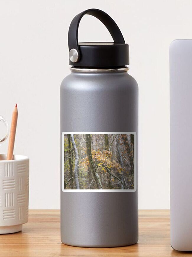 Thumbnail 1 of 3, Sticker, Snowfall in the forest designed and sold by wildfaun.