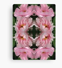 Tree Peony in Spring Canvas Print