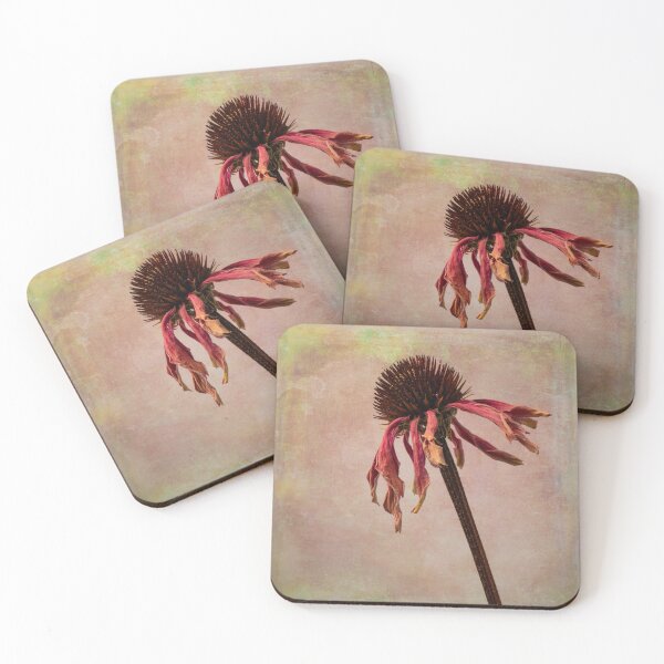 Item preview, Wilted Weathered Coneflower designed and sold by Garry Gay.