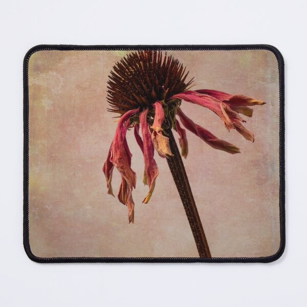 Item preview, Wilted Weathered Coneflower designed and sold by Garry Gay.