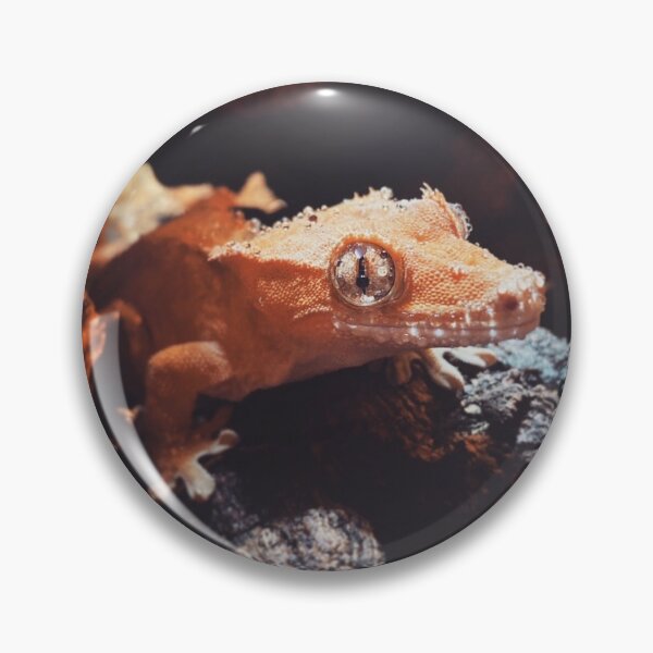 Item preview, Crested Gecko designed and sold by curiocabinets.