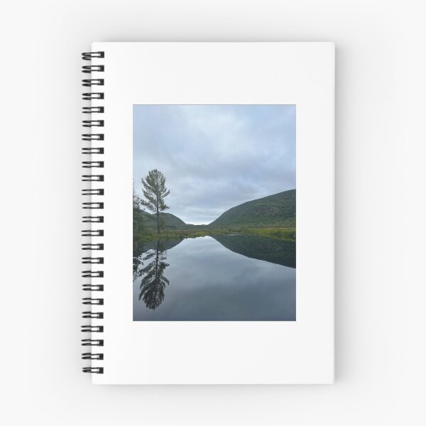 Item preview, Paisaje del Parque Nacional Acadia designed and sold by curiocabinets.