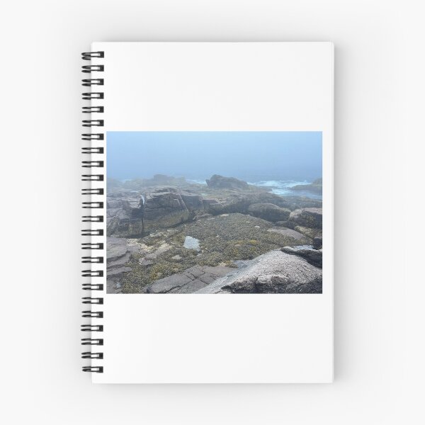 Item preview, Acadia National Park Landscape designed and sold by curiocabinets.