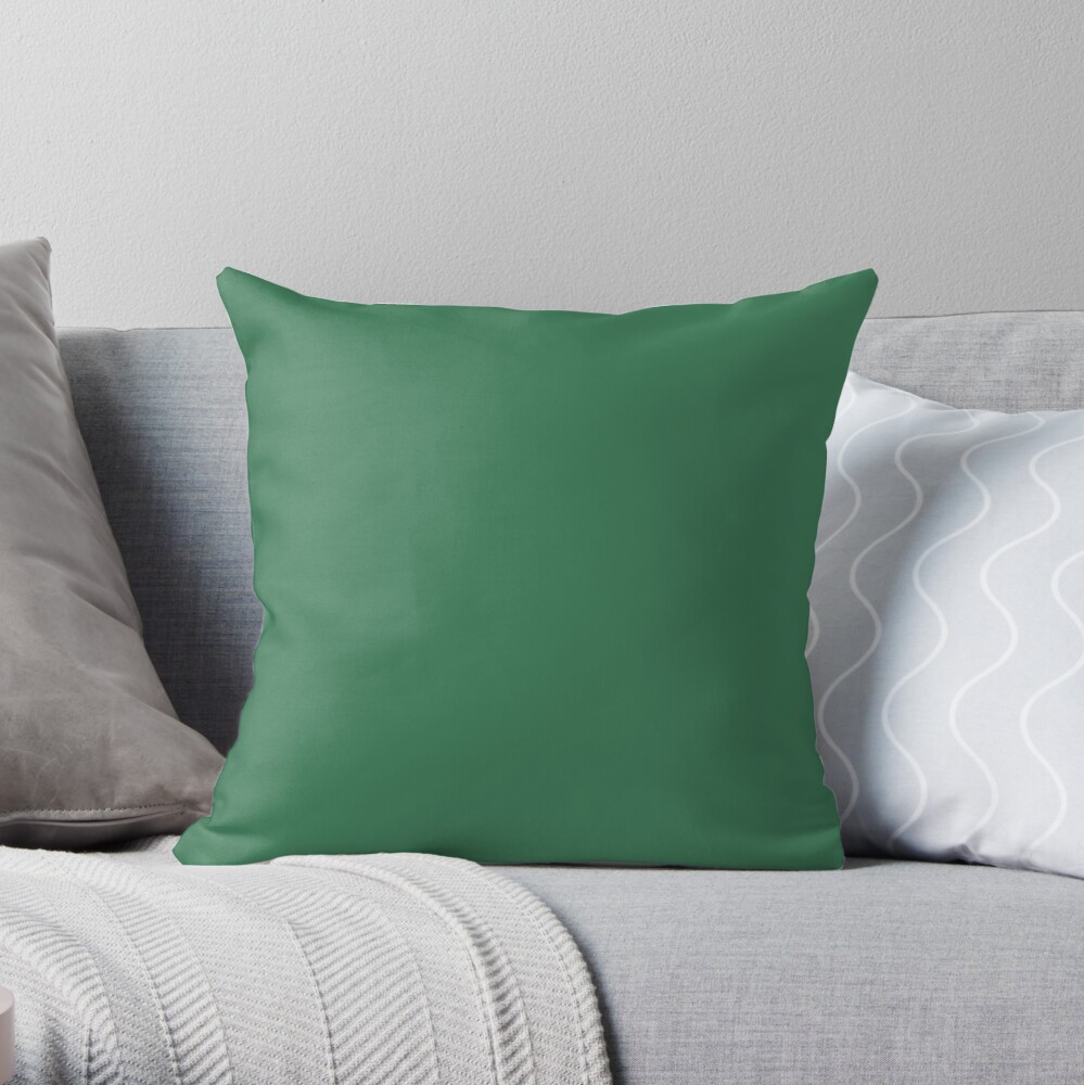 Beautiful Cushions/ Plain Amazon Throw Pillow