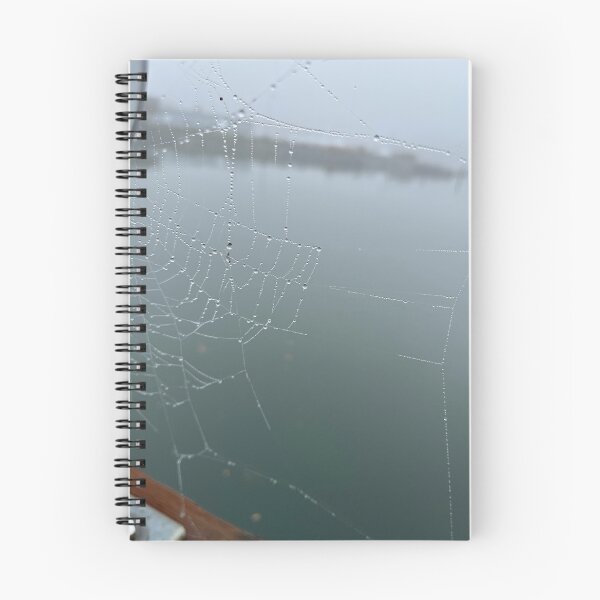 Item preview, Dew Drop Spider Web designed and sold by curiocabinets.