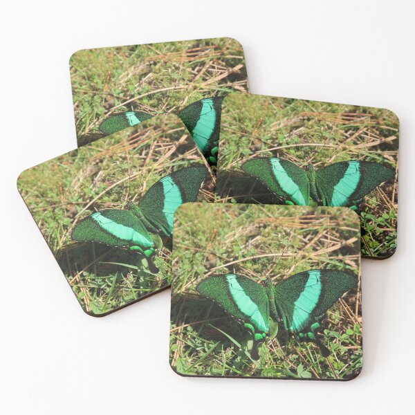 Item preview, Emerald Swallowtail: Papilio palinurus designed and sold by Entomologist.