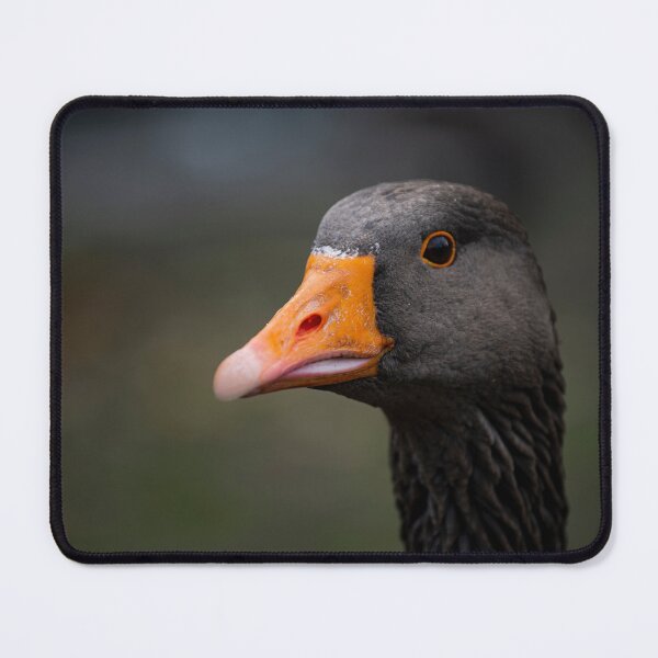 Item preview, Goose posters art prints t-shirts phone cases mugs etc designed and sold by craigewmcg123.
