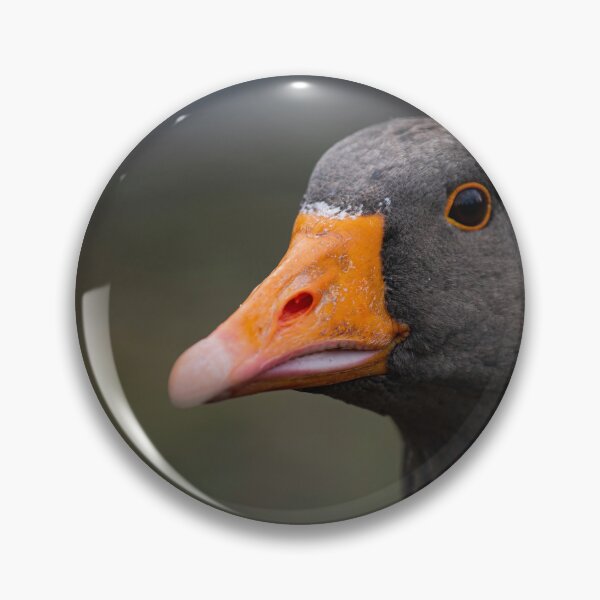 Item preview, Goose posters art prints t-shirts phone cases mugs etc designed and sold by craigewmcg123.