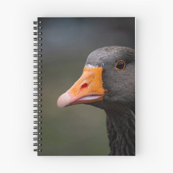 Item preview, Goose posters art prints t-shirts phone cases mugs etc designed and sold by craigewmcg123.