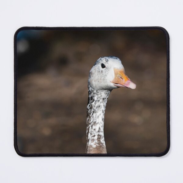 Item preview, Goose posters art prints t-shirts phone cases mugs etc designed and sold by craigewmcg123.