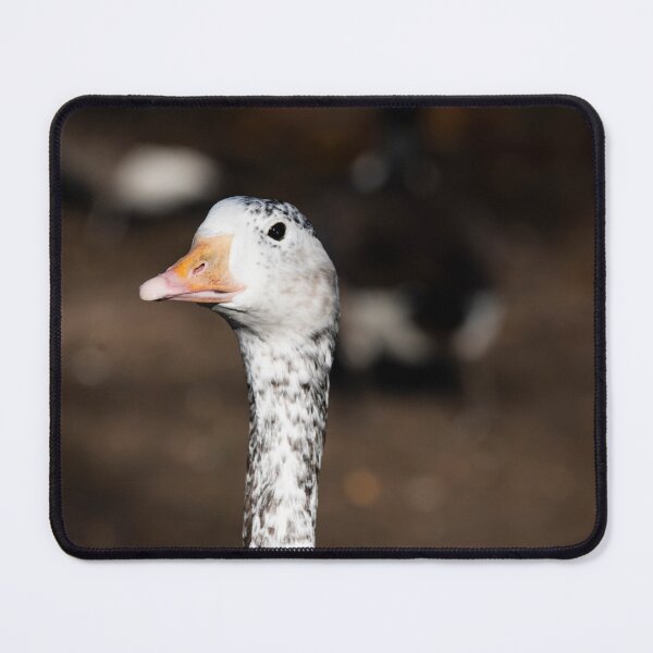 Item preview, Goose posters art prints t-shirts phone cases mugs etc designed and sold by craigewmcg123.