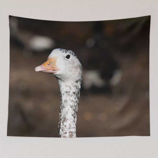 Item preview, Goose posters art prints t-shirts phone cases mugs etc designed and sold by craigewmcg123.