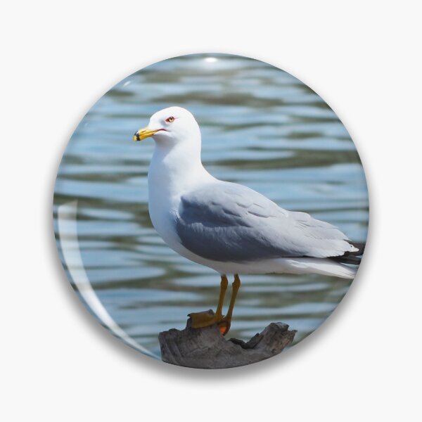 Item preview, Ring-billed Gull Standing On a Log By A Lake designed and sold by BackyardBirder.