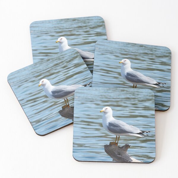 Item preview, Ring-billed Gull Standing On a Log By A Lake designed and sold by BackyardBirder.