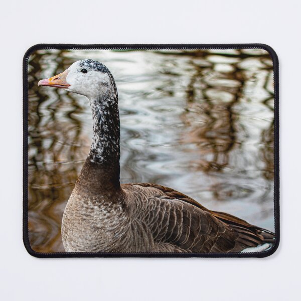 Item preview, Goose posters art prints t-shirts phone cases mugs etc designed and sold by craigewmcg123.