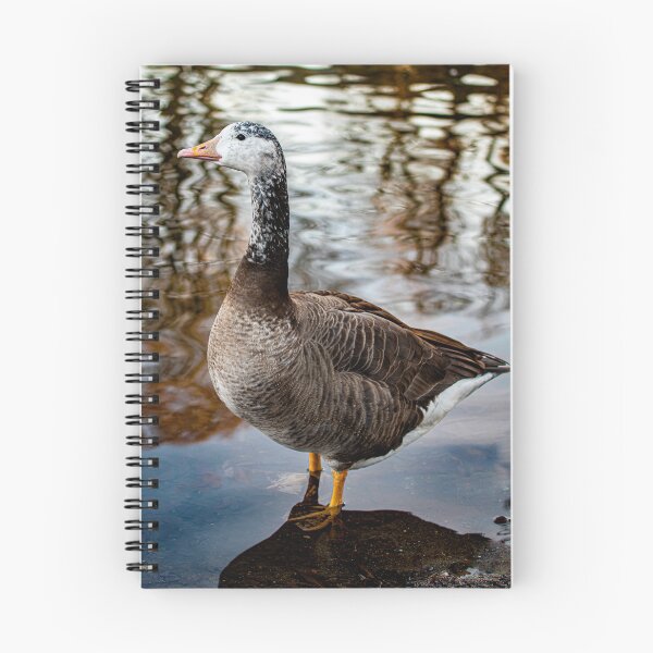 Item preview, Goose posters art prints t-shirts phone cases mugs etc designed and sold by craigewmcg123.