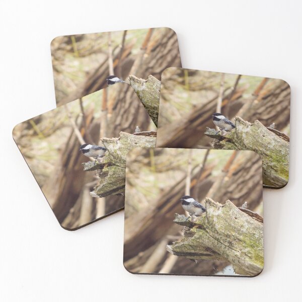 Item preview, Black-capped Chickadee Perched On a Log designed and sold by BackyardBirder.