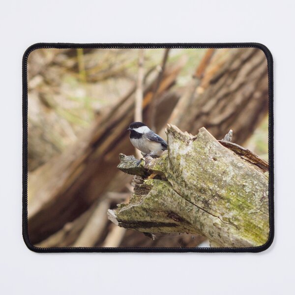 Item preview, Black-capped Chickadee Perched On a Log designed and sold by BackyardBirder.