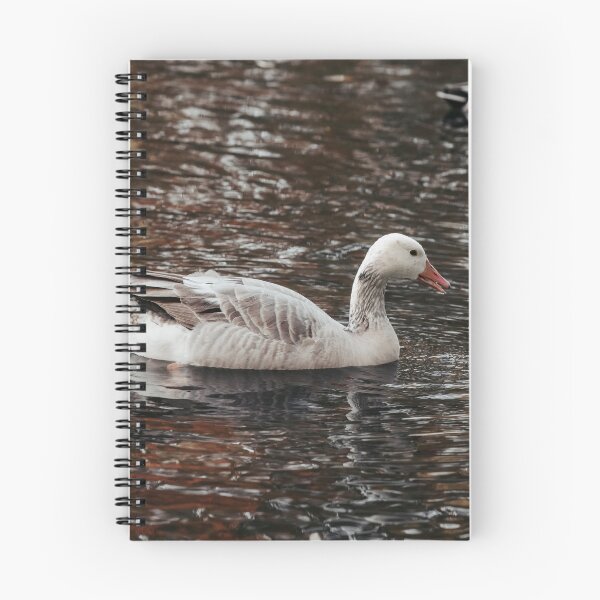 Item preview, Goose posters art prints t-shirts phone cases mugs etc designed and sold by craigewmcg123.