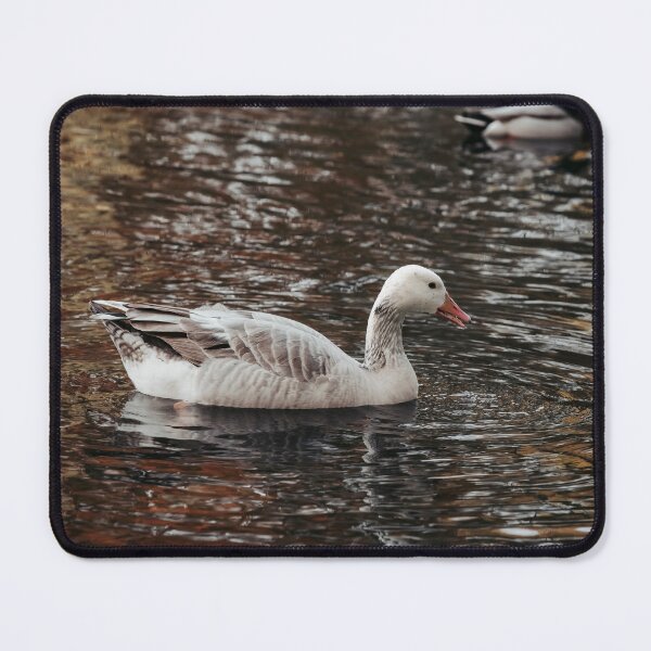 Item preview, Goose posters art prints t-shirts phone cases mugs etc designed and sold by craigewmcg123.