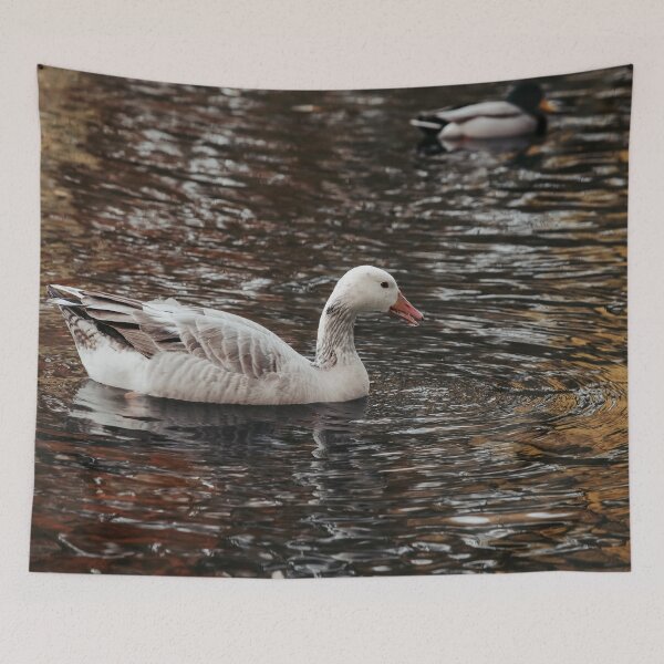 Item preview, Goose posters art prints t-shirts phone cases mugs etc designed and sold by craigewmcg123.