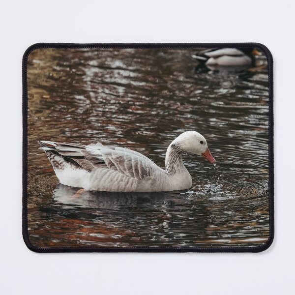 Item preview, Goose posters art prints t-shirts phone cases mugs etc designed and sold by craigewmcg123.