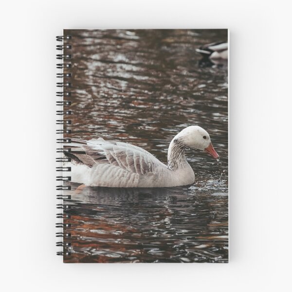 Item preview, Goose posters art prints t-shirts phone cases mugs etc designed and sold by craigewmcg123.