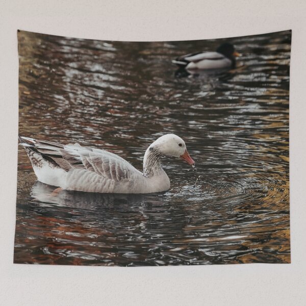 Item preview, Goose posters art prints t-shirts phone cases mugs etc designed and sold by craigewmcg123.