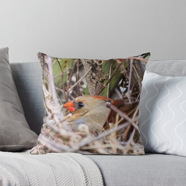 Item preview, Female Northern Cardinal Sitting On Her Nest designed and sold by BackyardBirder.