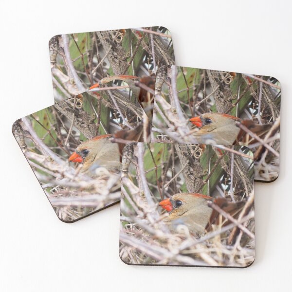 Item preview, Female Northern Cardinal Sitting On Her Nest designed and sold by BackyardBirder.