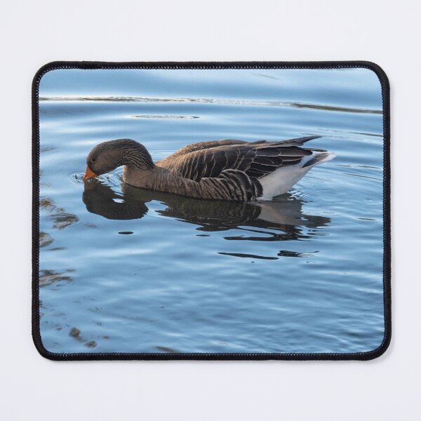 Item preview, Goose posters art prints t-shirts phone cases mugs etc designed and sold by craigewmcg123.