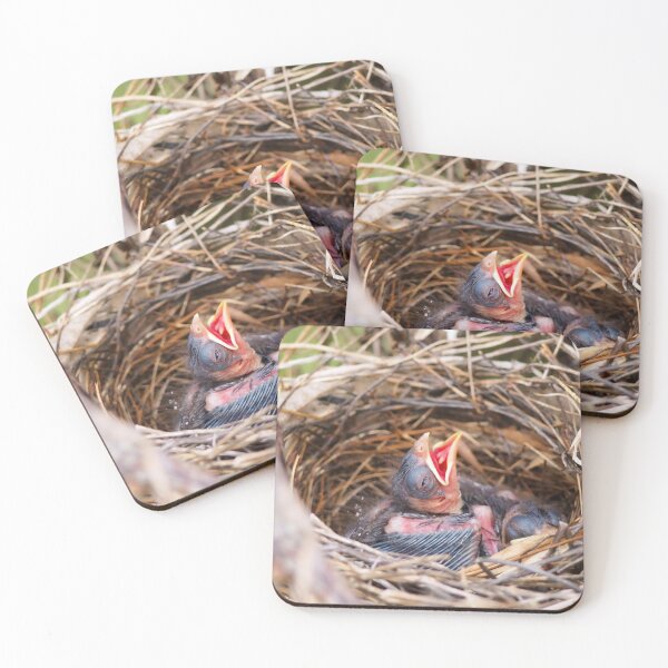 Item preview, Baby Northern Cardinal In Its Nest designed and sold by BackyardBirder.
