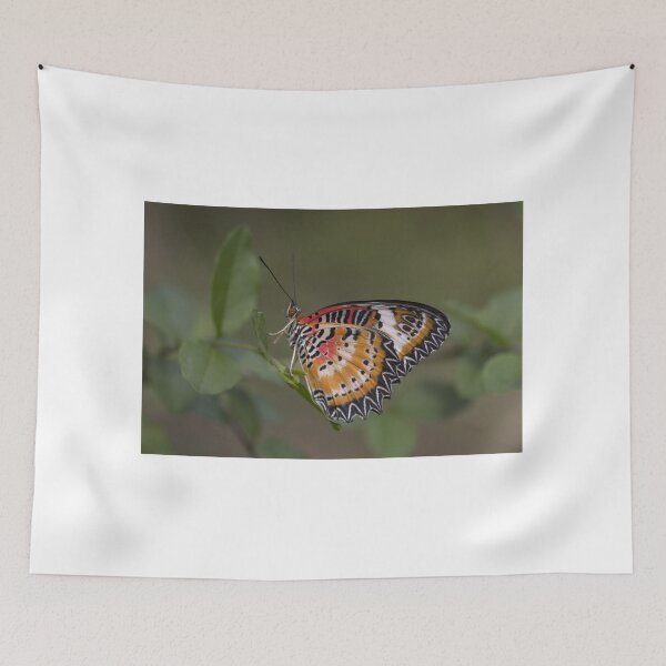 Item preview, Leopard lacewing butterfly designed and sold by pietrofoto.