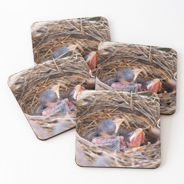 Item preview, Two Baby Northern Cardinals In Their Nest. designed and sold by BackyardBirder.