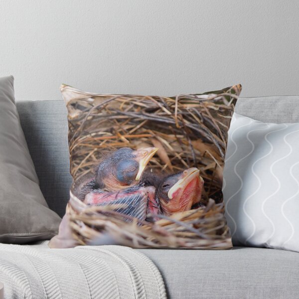 Item preview, Two Baby Northern Cardinals In Their Nest. designed and sold by BackyardBirder.