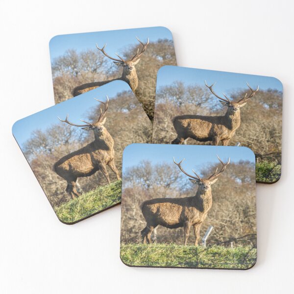 Item preview, Red deer Stag Loch Carron designed and sold by Derren Jones.