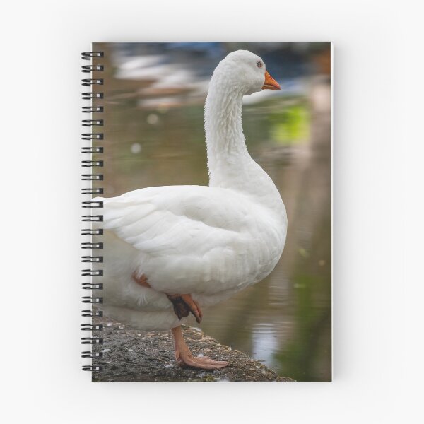 Item preview, Goose posters art prints t-shirts phone cases mugs etc designed and sold by craigewmcg123.