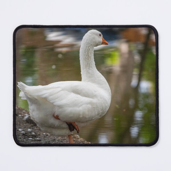 Item preview, Goose posters art prints t-shirts phone cases mugs etc designed and sold by craigewmcg123.