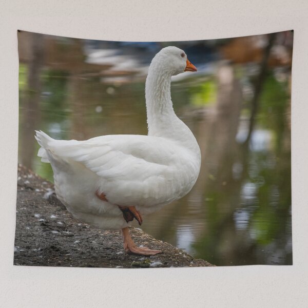 Item preview, Goose posters art prints t-shirts phone cases mugs etc designed and sold by craigewmcg123.