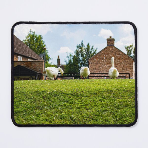 Item preview, Geese posters art prints t-shirts phone cases mugs etc designed and sold by craigewmcg123.
